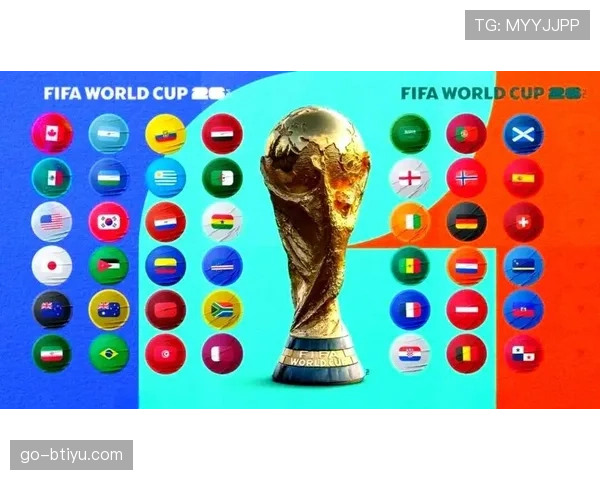 世界杯美国队D组比赛焦点盘点